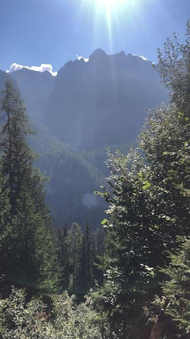 Accesso Diretto Alle Piste Da Sci *