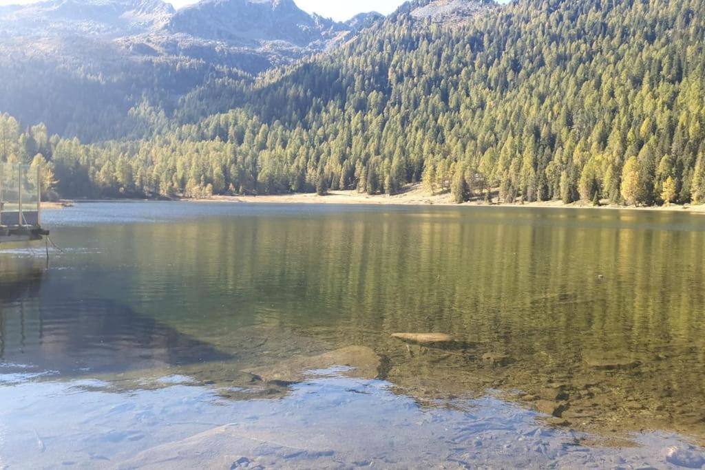 Apartment Accesso Diretto Alle Piste Da Sci Folgarida